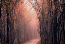 利物浦落后找回颜面，小胜争冠后劲