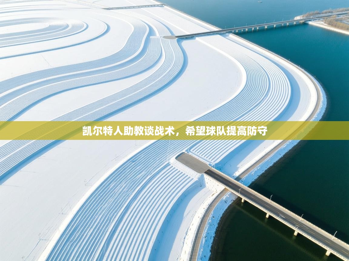 凯尔特人助教谈战术，希望球队提高防守